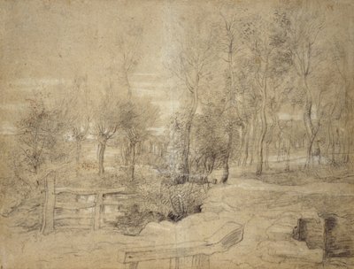 Woodland Scene by Peter Paul Rubens